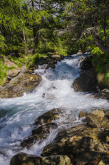 Mountain river in alpine coniferous forest. Italy