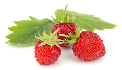 Wild strawberry isolated on white background