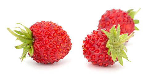 Wild strawberry isolated on white background