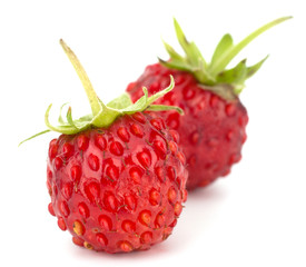 Wild strawberry isolated on white background