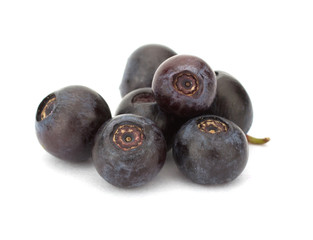 Fresh blueberries isolated on white background