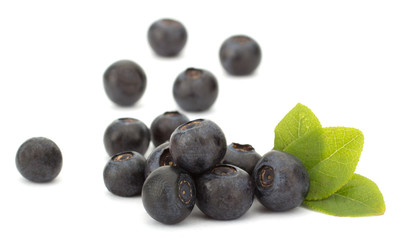 Fresh blueberries isolated on white background
