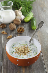 Tarator, bulgarian sour milk soup