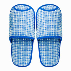 blue Slippers