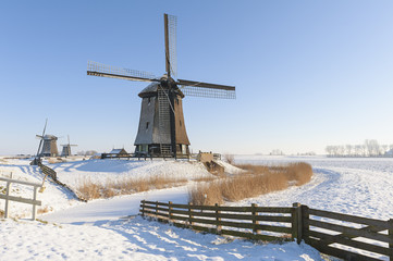 Dutch windmills in winter landscape