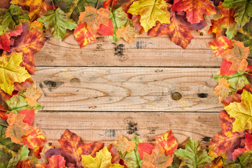 Naklejka na ściany i meble buntes Herbstlaub auf Holzbrett