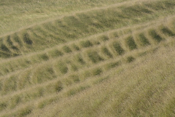 Obraz premium Patterns in grassy hillside. Wiltshire. England