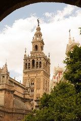Fototapeta na wymiar La Giralda de Sevilla
