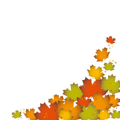 Ahornblätter als Hintergrund