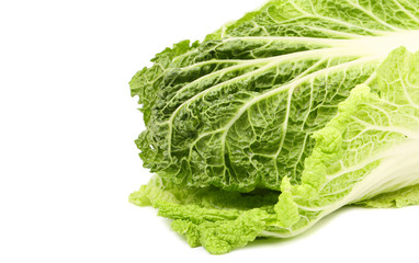 Frame of chinese cabbage