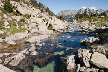 Creek at Aiguestortes and Sant Maurici National Park, Pyrenees