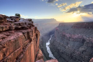 Gordijnen Grand Canyon Toroweap Point Sunrise © kojihirano