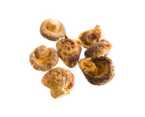 Dry Mushrooms isolated on white background. Selective focus