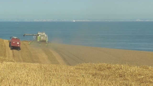 agriulteurs et moisson