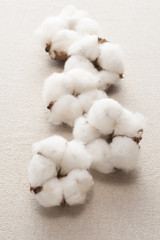 布の背景に複数の綿の実