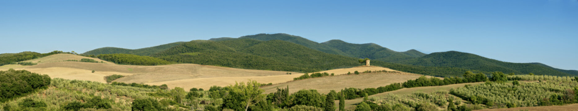 Tuscany landscape, the countryside of Maremma
