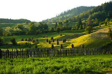 Obraz premium Landscape in Bucovina
