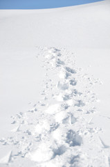 Melchsee-Frutt. Switzerland