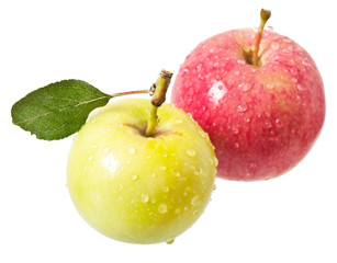 apples on a white background
