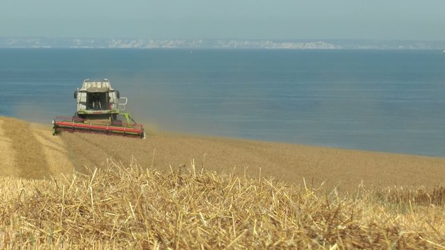 moisonneuses et c&ocirc;tes anglaises