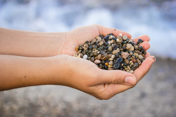 The girl is holding a sea stones