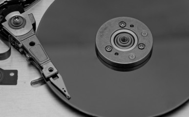 Open computer hard drive on white background