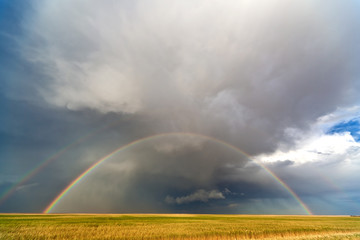 Rainbow over the fields