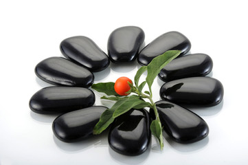 Petalos de piedras negras