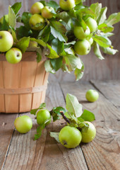 Fototapeta na wymiar Organic Apples with leaves in the Basket.
