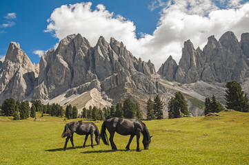 Odle,Val di Funes,Sudtirol,Italia