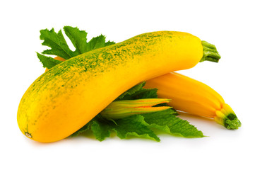 Yellow marrow vegetables with blossom and leaves isolated