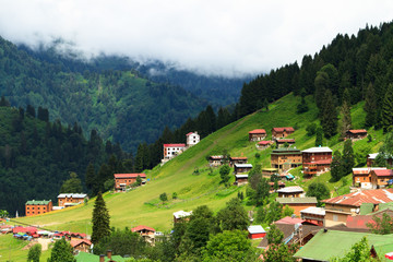 Ayder Plateau