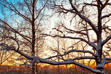 Beautiful winter sunset