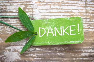 grüne 