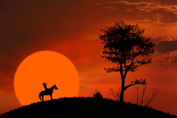 Fototapeta na wymiar Horse rider silhouette at orange sunset