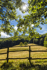 The fence of a pasture in the Tuscan countryside.