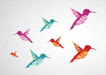 Peel and stick wall murals Geometric Animals Colorful humming birds illustration.
