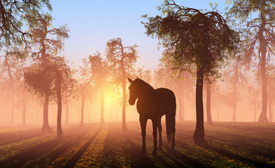 Horse. © Kovalenko I