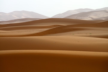 Fototapeta na wymiar Sand dunes in the Sahara Desert, Morocco, morning