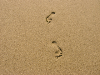 Traces in the Sand