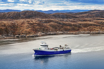 Fototapeta premium Blue Norwegian fish carrier ship