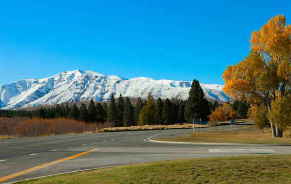 Autumn road. Fairlie-Tekapo Road, Canterbury, New Zealand