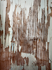 Grunge background. peeling paint on an old wall