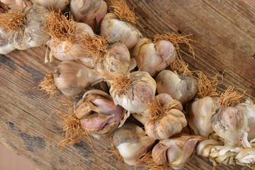 Organic Garlic