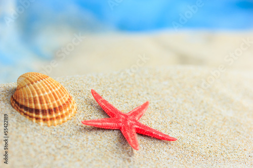 Морская звезда в песке без смс