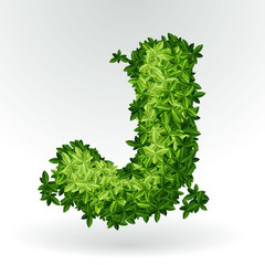 Letter J , green leaves summer vector alphabet.