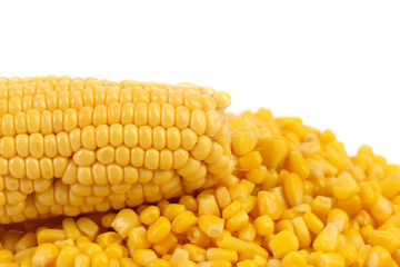 Corncob on a bulk of corn grains.