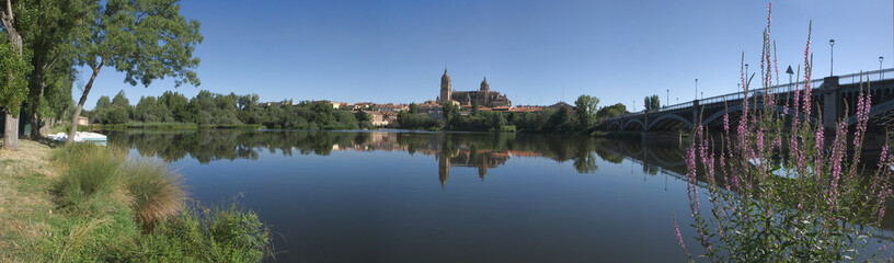 Fototapeta na wymiar Salamanca river panoramic