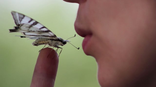girl with a butterfly on her finger (close-up)