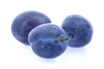 Plums - organic fruit on white